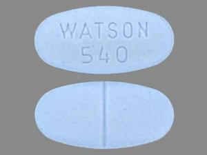 WATSON 540 (Acetaminophen and Hydrocodone 500 mg/10 mg)
