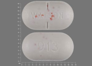 WATSON 913 (Norco 325 mg / 5 mg)